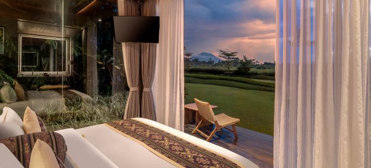 巴厘岛格达斯健康养生度假村(Gdas Bali Health and Wellness Resort)图片