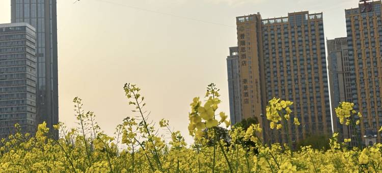 普瑞思酒店(南昌朝阳天虹西湖万达店)图片