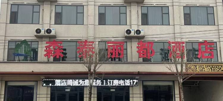 菏泽森泰丽都酒店图片
