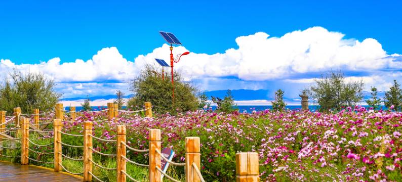 青海湖九龍客栈图片