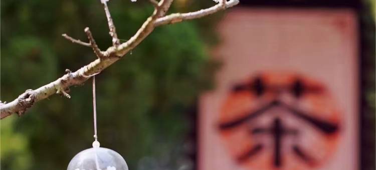 青岛960青旅博物馆奇妙夜研学基地图片