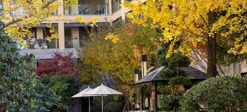 丽江M酒店(古城区店)图片