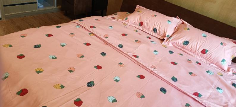 庄庄公寓酒店图片