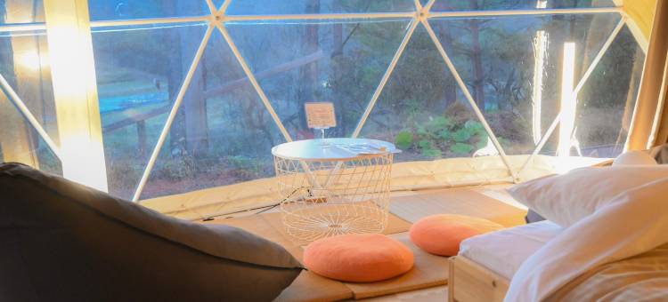 glampark 长野月下美人(glampark Gekkabijin Nagano)图片