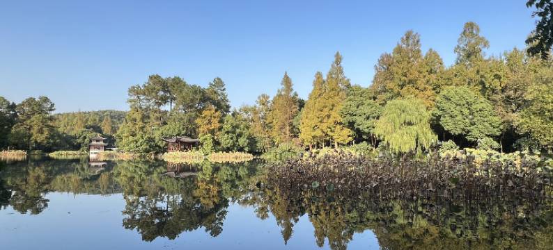 杭州听雨居28号民宿(西湖灵隐店)图片