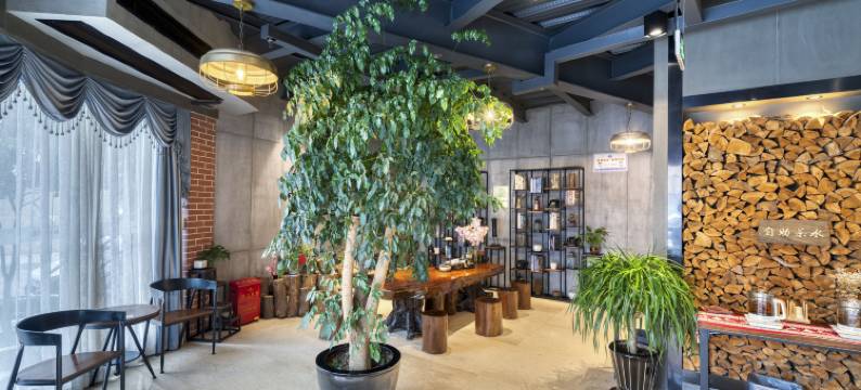 柏安曼云酒店(乐清宋湖里坊店)图片