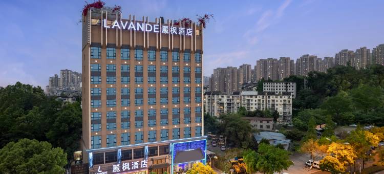 麗枫酒店(乐山高铁万达广场店)图片