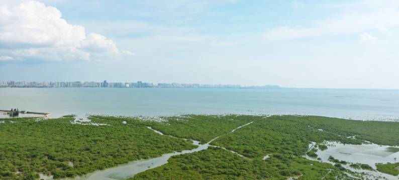 中金海湾壹号精品民宿(园田路店)图片