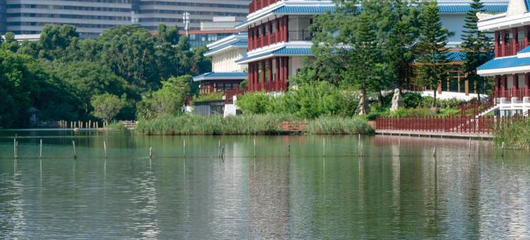厦门五缘水乡酒店(湿地公园店)图片