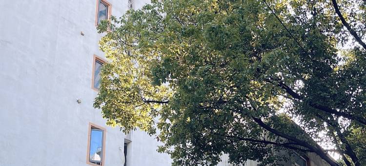 布丁酒店(宁波天一广场江厦桥东地铁站店)图片