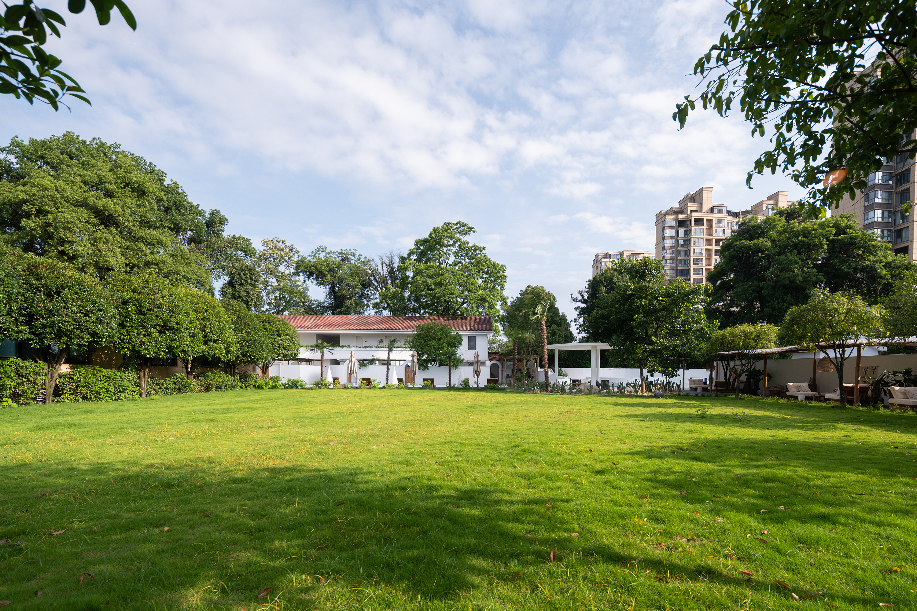 Leisurely Dwelling: Hidden Realm of TreesOver view