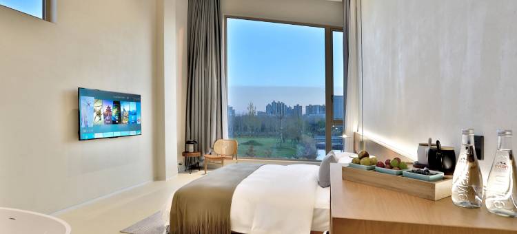 嘉兴飞鸟集丨万棵银杏·千亩湖域·宠物友好·音乐现场·度假民宿图片