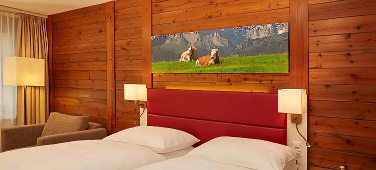 英格堡H+水疗酒店(H+ Hotel & SPA Engelberg)图片