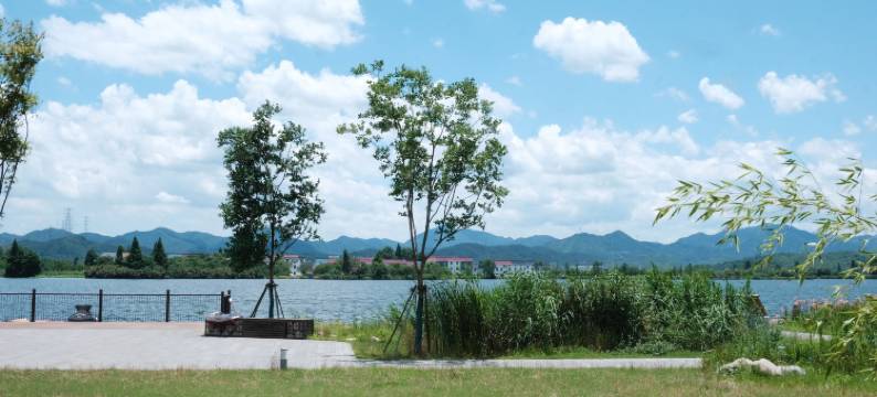 陶所花庄一号民宿图片