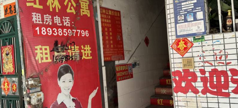 红林公寓(东坑店)图片