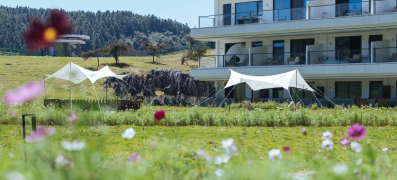 重庆千里走单骑·巴渝民宿(仙女山景区店)图片