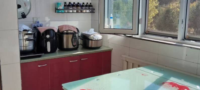 伊春半山渡民宿图片