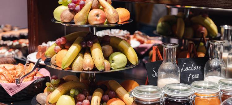 米开朗基罗大酒店(Michelangelo Grand Hotel)图片