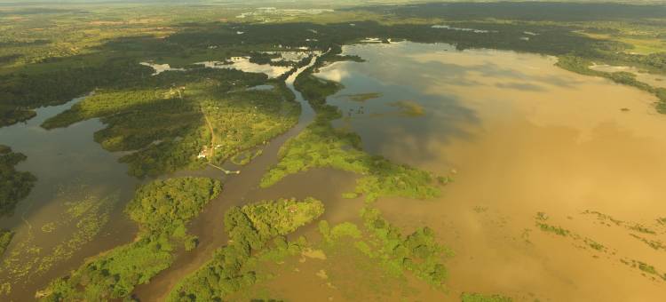 Caño Negro Country Lodge图片