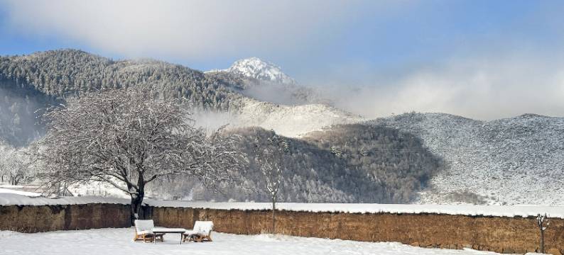 香格里拉青雨·见山归璞庄园(纳帕海景区店)图片