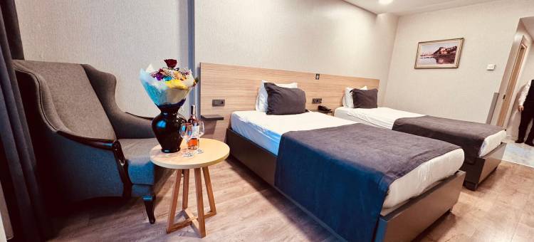 塔克西姆绿园酒店(The Green Park Taksim)图片