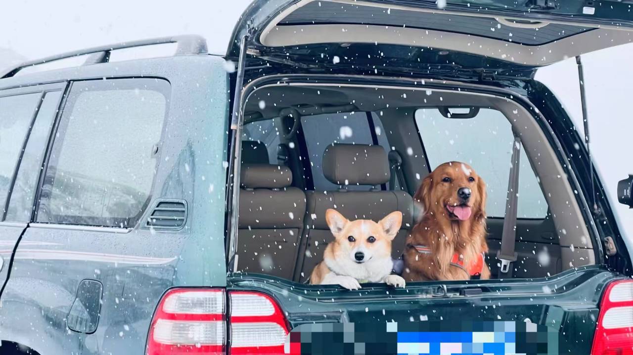 大乐之野(中卫黄河宿集店)图片