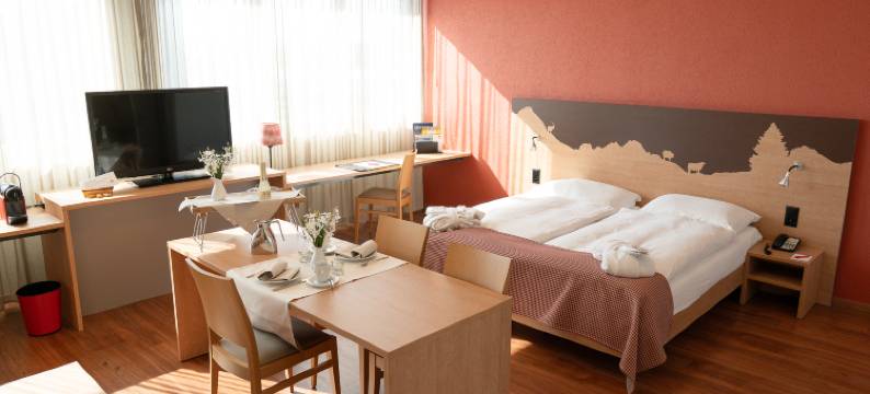 瑞士爱华楚格酒店(SwissEver Hotel Zug)图片