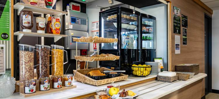 科尔玛卢米埃尔 B&B 酒店(B&B Hotel Colmar Lumière)图片