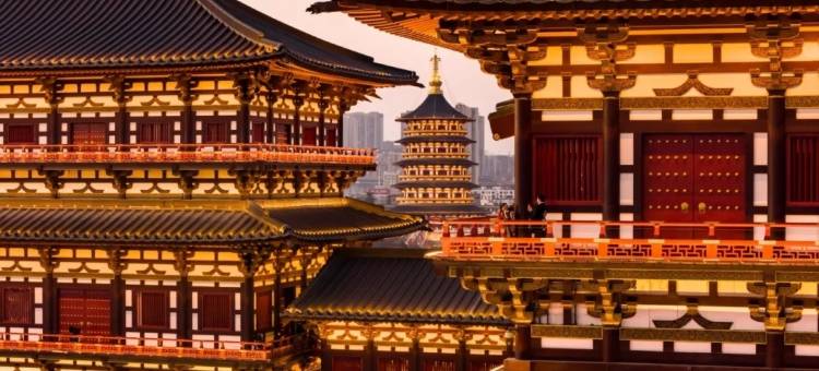 洛邑风华酒店(洛阳牡丹广场店)图片