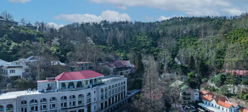 莫干山剑池山庄(莫干山风景名胜区荫山街店)图片