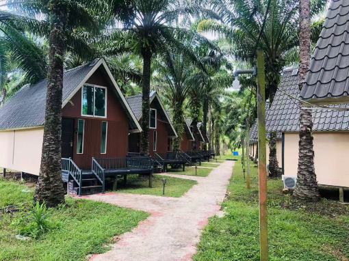 Nature Resort Hotel Overview