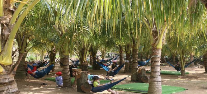 Coco Island民宿(Homestay Coco Island)图片