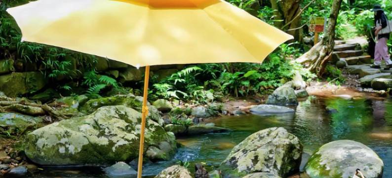 L/SHAN·浪浪山民宿(安吉龙王山漂流浙北大峡谷店)图片