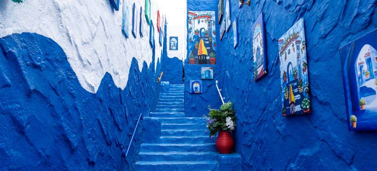 哈尔滨极地公园北极熊酒店(太阳岛地铁站店)图片