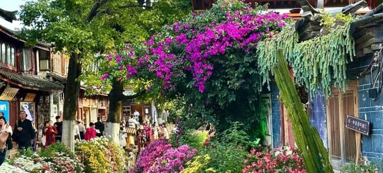 Scenic花朝月夕｜丽江古城·日照金山·全际度假酒店｜图片