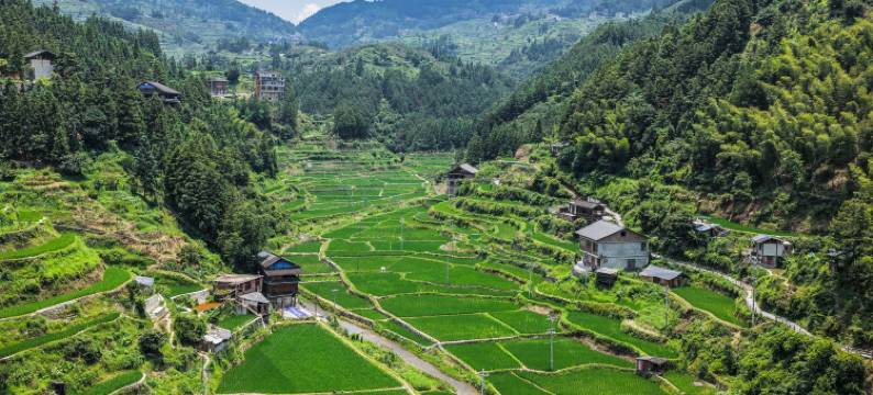 稻田边观景民宿(肇兴侗寨店)图片
