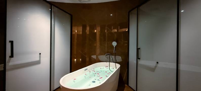 喜顿甄选国际酒店(佛山顺德龙山材料城店)图片