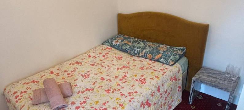 金星酒店(Golden Star Hotel)图片