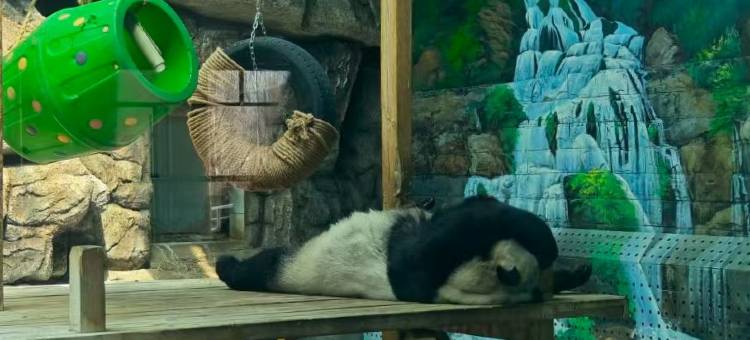 锦江之星品尚(呼和浩特成吉思汗广场地铁站店)图片