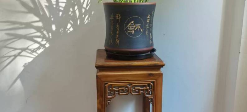 泰宁云景酒店图片