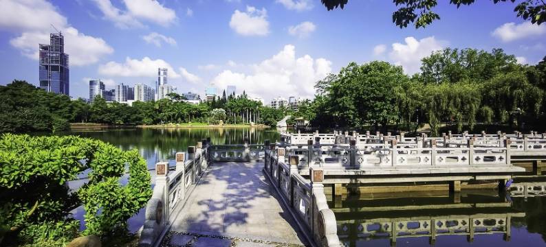 深圳蔡屋围大酒店图片