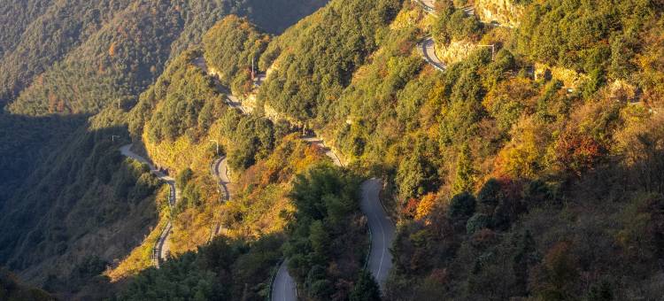 见吾乡·崃漫度假酒店(皖南川藏线店)图片