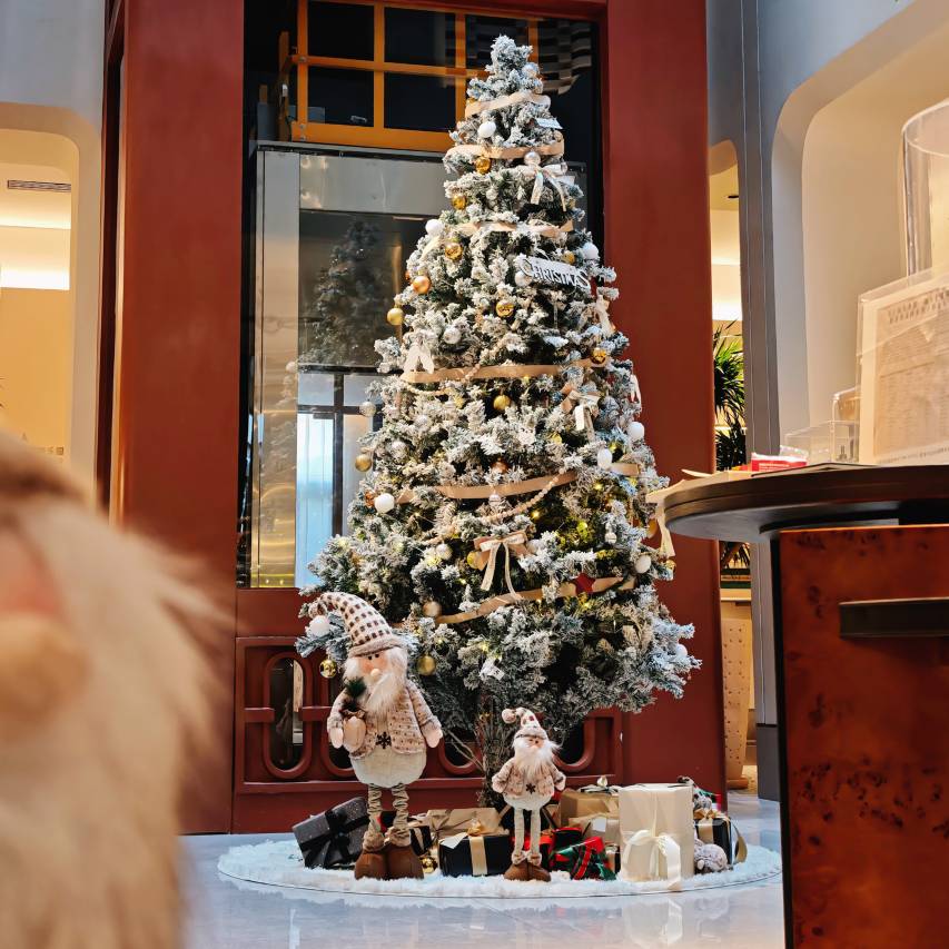 怀棠府邸酒店图片