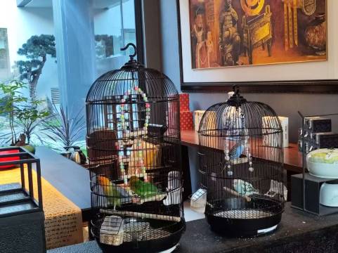 雅缦东方庭院酒店(西安大雁塔大唐不夜城店)图片