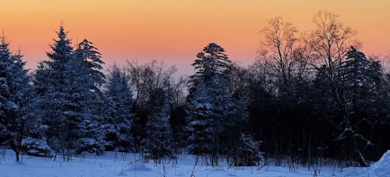 雅轩阁•Life轻奢设计美宿(长白山北坡集散中心店)图片