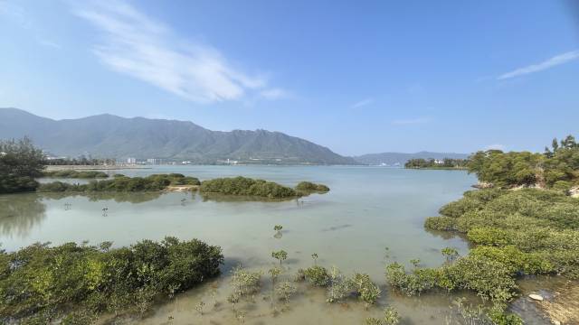 深圳市湾区生态国际酒店图片