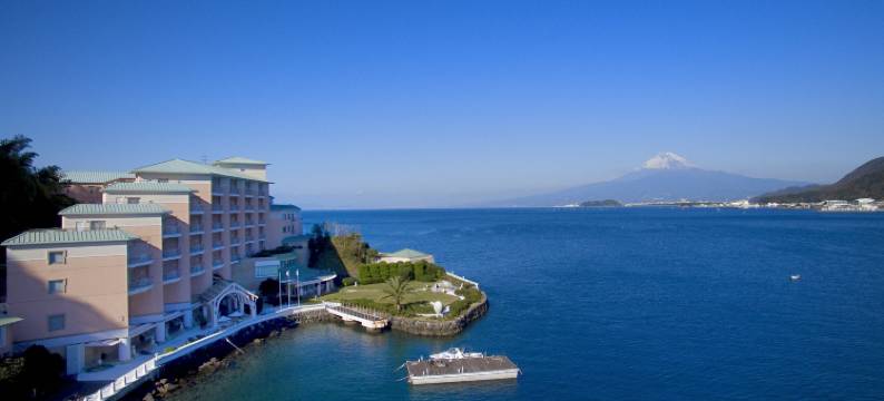 淡岛酒店(Awashima Hotel)图片