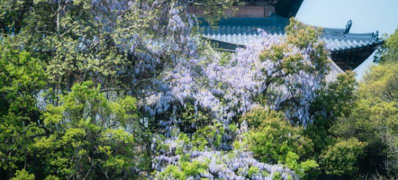 濮院时尚古镇秀水客栈图片