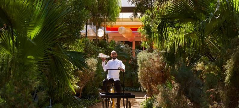 棕榈泉帕克酒店(Parker Palm Springs)图片