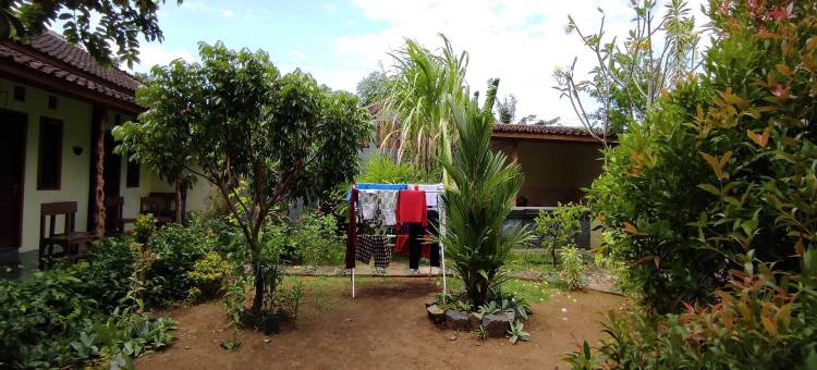 外南梦日出家庭旅馆(Banyuwangi Sunrise Homestay)图片